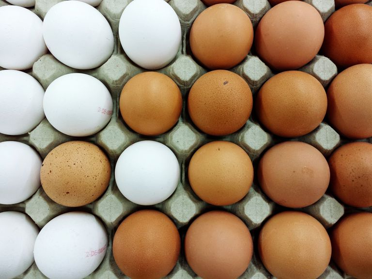 kuhaju jaja, ljudi koji, poljoprivrednika koji, fragmente proteina