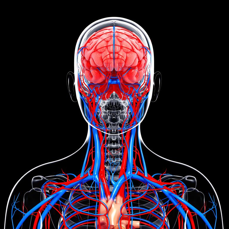 karotidne arterije, moždanog udara, stenoze karotidne, stenoze karotidne arterije, krvne žile