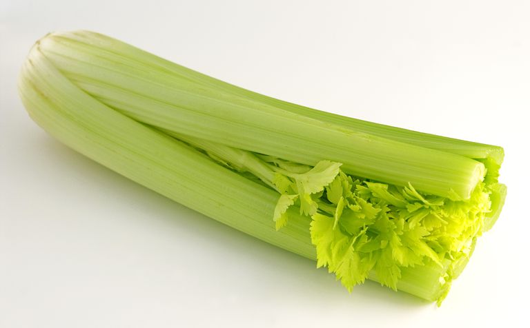 Celer može, dobar izvor, vaše tijelo, biste trebali, celer negativne, celer negativne kalorije