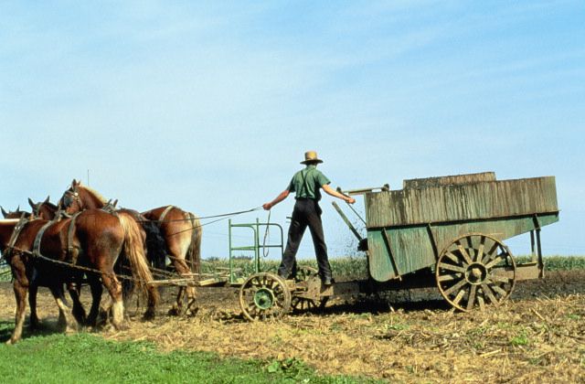 Amish cijepljuje, Amish djece, Amish ljudi, Fragile sindrom, gdje autizam