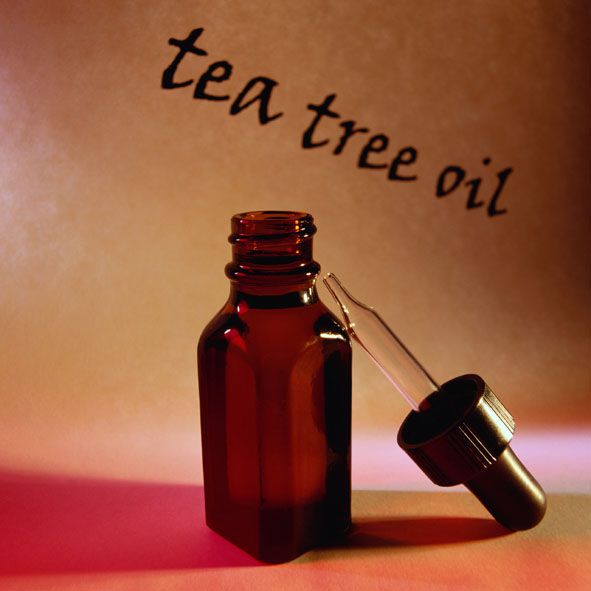 čajevog ulja, liječenje akni, ulje čajevca, antimikrobna svojstva, benzoil peroksid, čajevca može