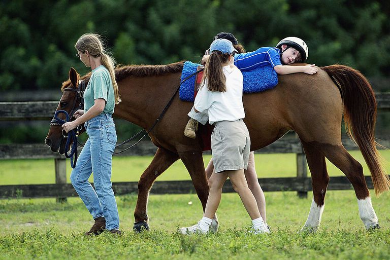 terapije konja, terapiju konja, konja oblik, konja također, mogu biti