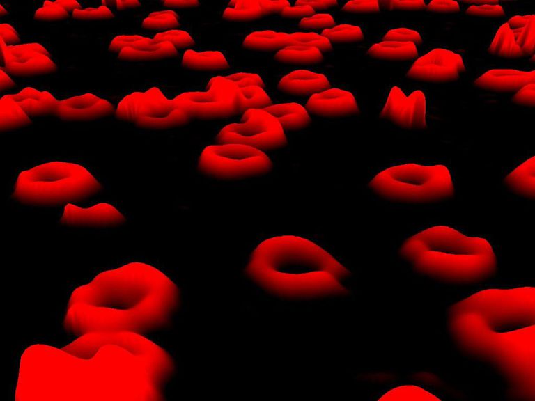 crvenih krvnih, crvenim krvnim, crvenim krvnim stanicama, koji mogu, koštane srži