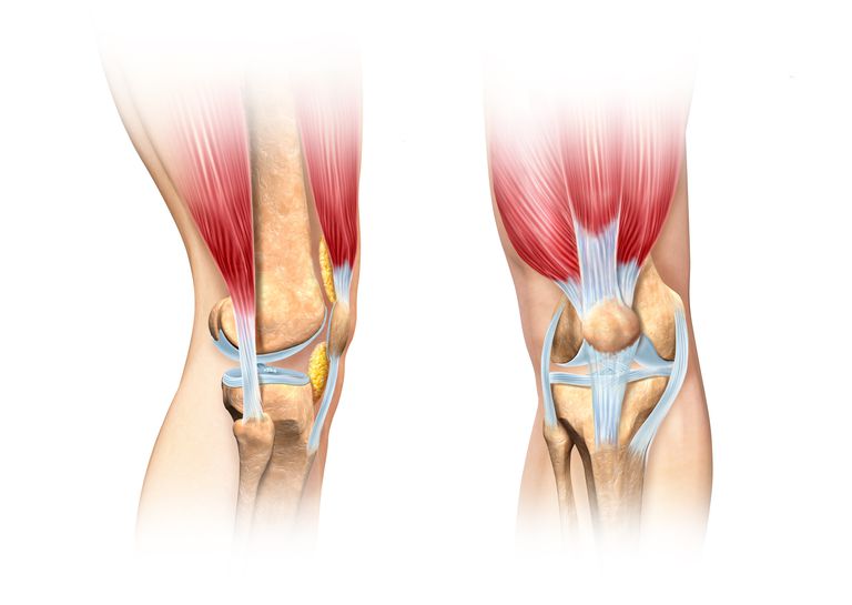 kolateralni ligament, ligamenta koljena, Ovaj ligament, Fizička terapija, kako biste