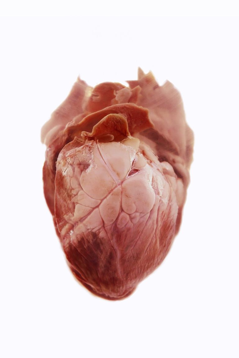 MUGA skeniranje, MUGA skeniranja, funkcije srca, mogu odrediti, srca MUGA