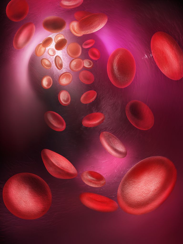 krvne stanice, krvnih stanica, bijele krvne, bijele krvne stanice