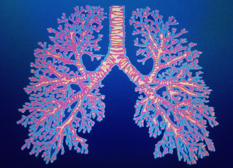pluća zove, prsnog koša, zraka pluća, zraka pluća zove