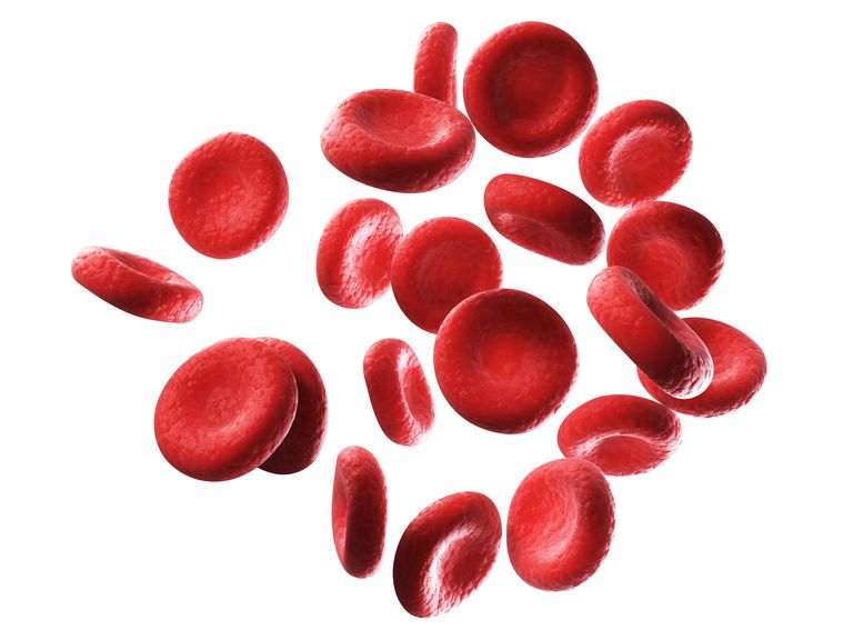 krvnih stanica, crvenih krvnih, crvenih krvnih stanica, može koristiti