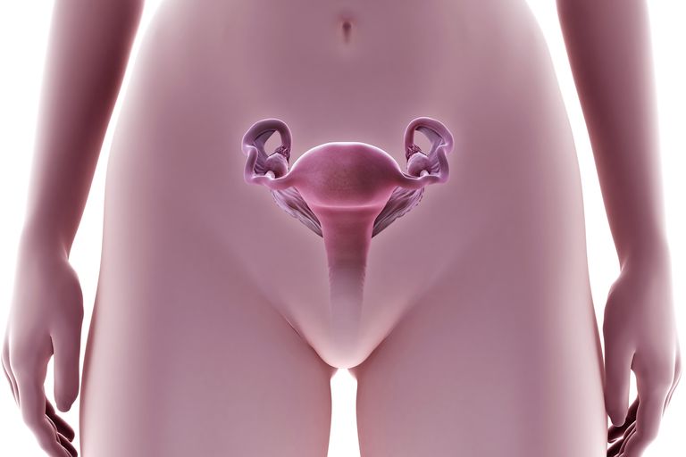 Biopsija endometrija, biopsiju endometrija, endometrijskog tkiva, jednostavna procedura, mala količina